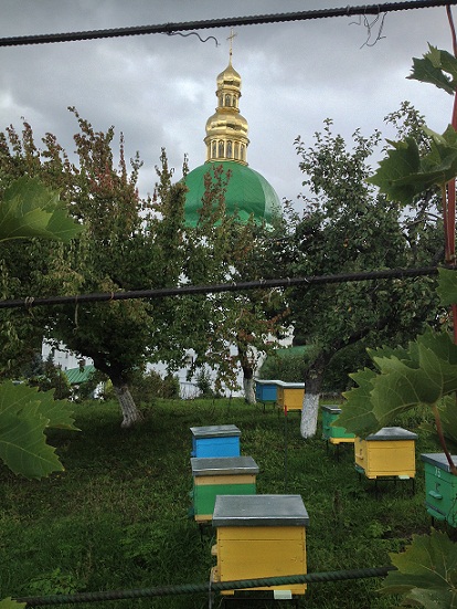 Monastery Bees